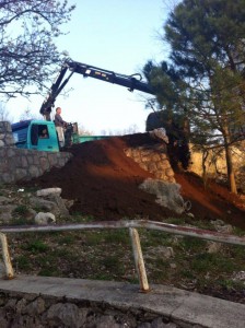 17633_734922279956603_4106294955640440194_n